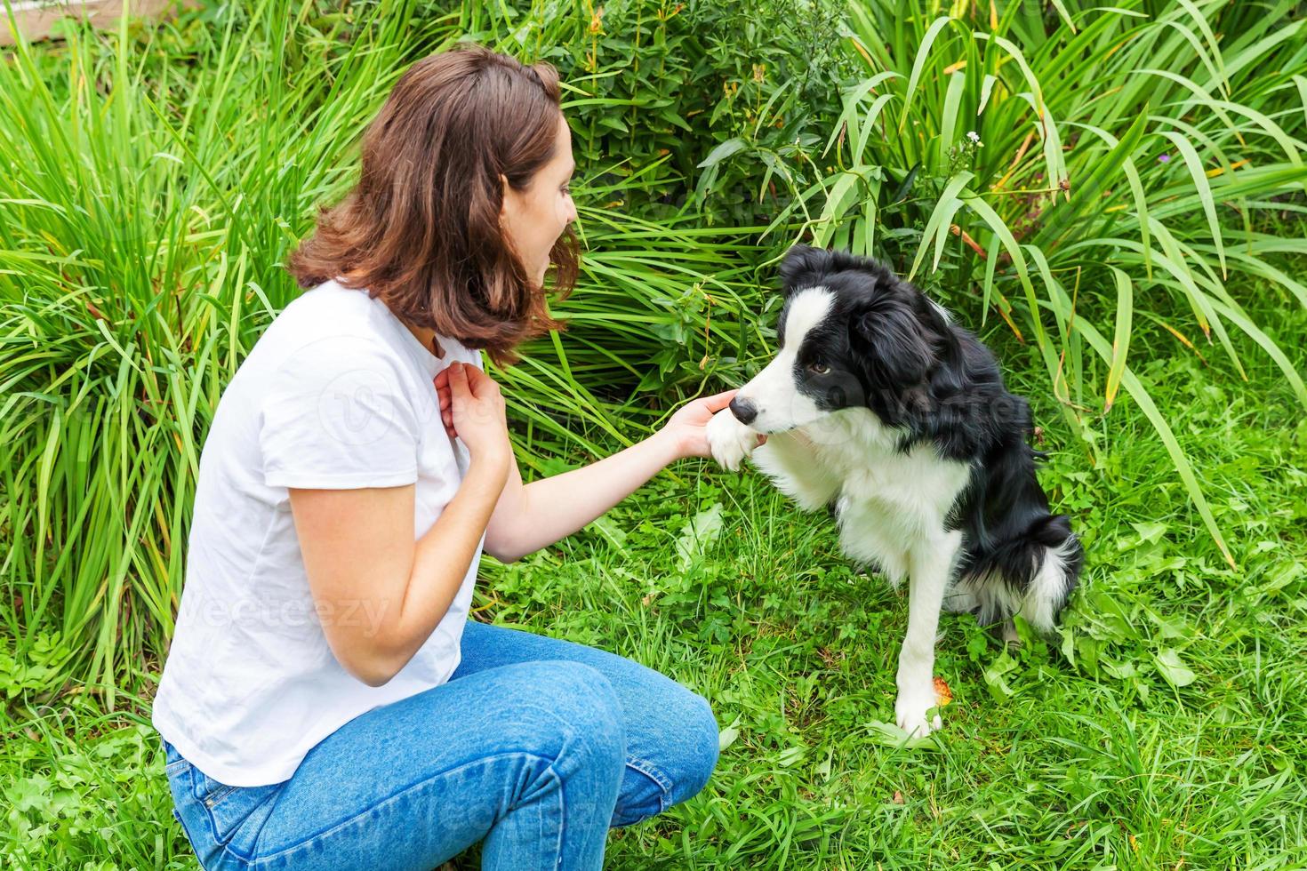 Smiling young attractive woman playing with cute puppy dog border collie in summer garden or city park outdoor background. Girl training trick with dog friend. Pet care and animals concept. photo