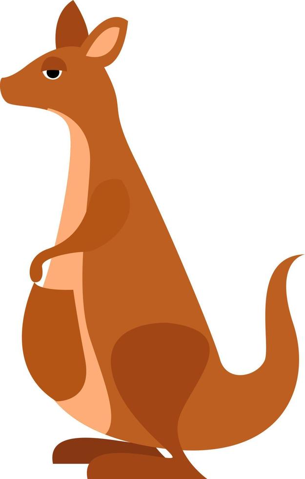 Kangaroo, illustration, vector on white background.