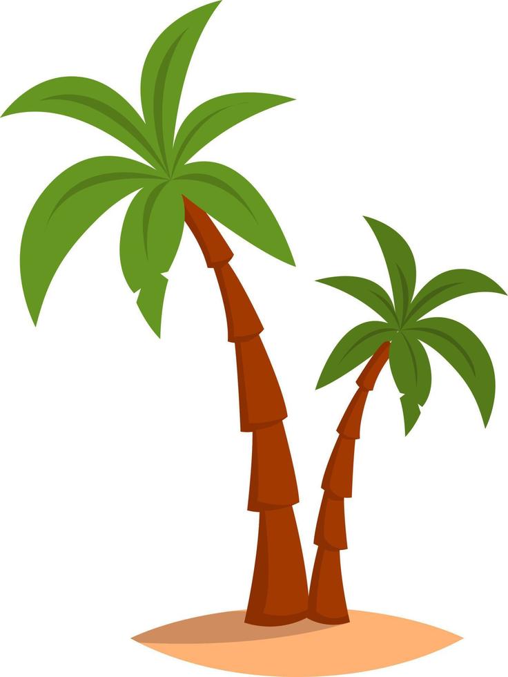 palmeras, ilustración, vector sobre fondo blanco.