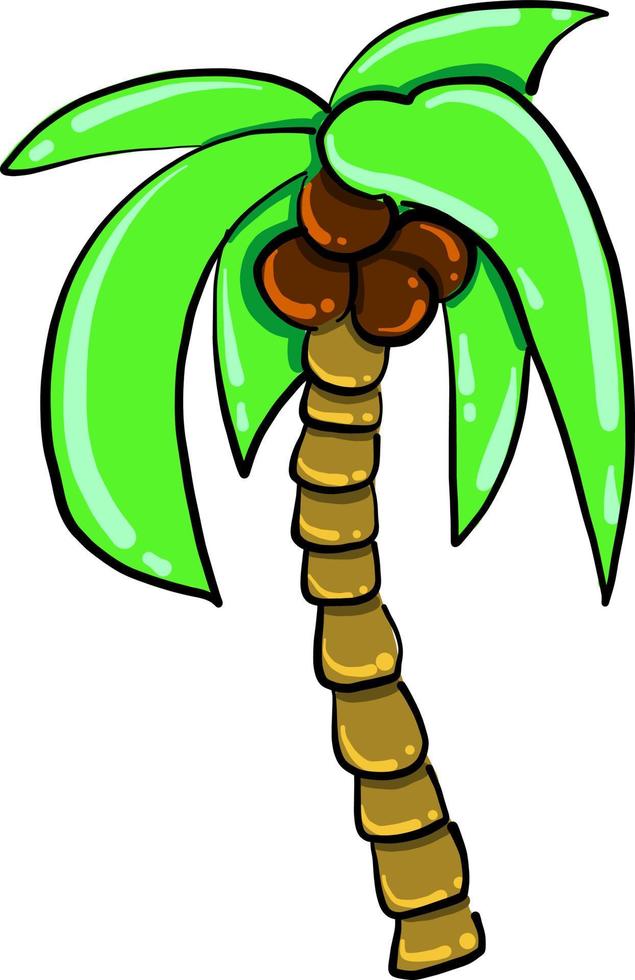 Palm tree, illustration, vector on white background