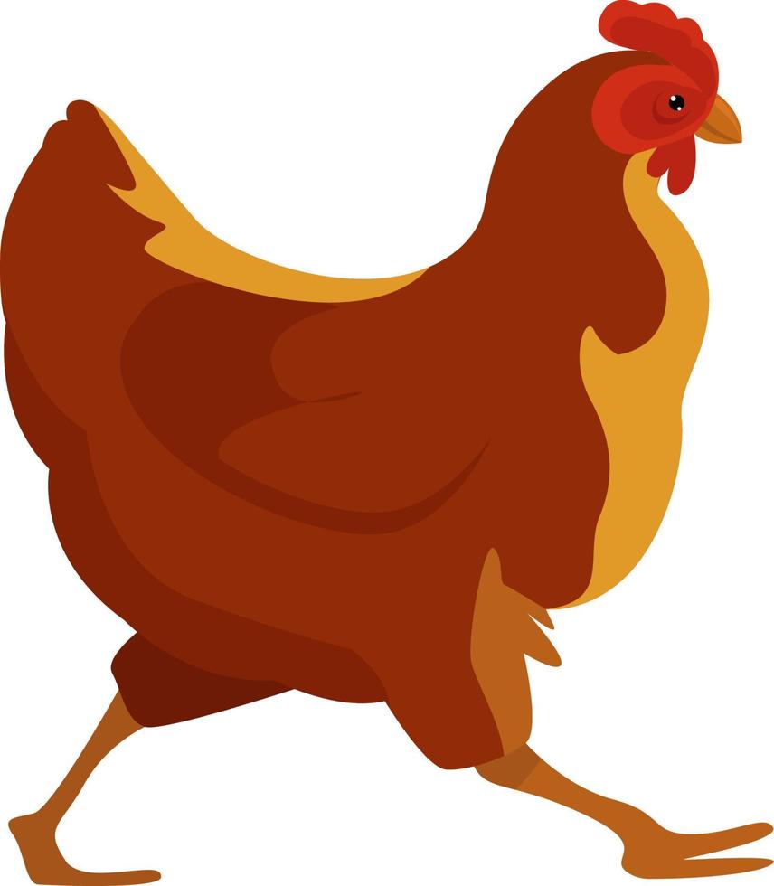 Running chicken , illustration, vector on white background