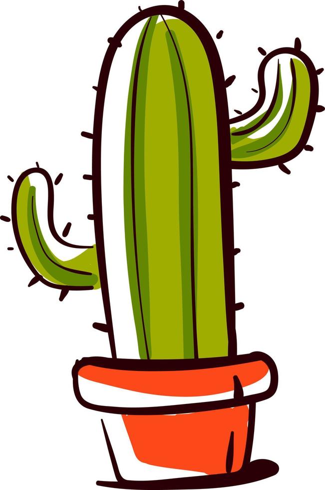 Cactus in pot, illustration, vector on white background.