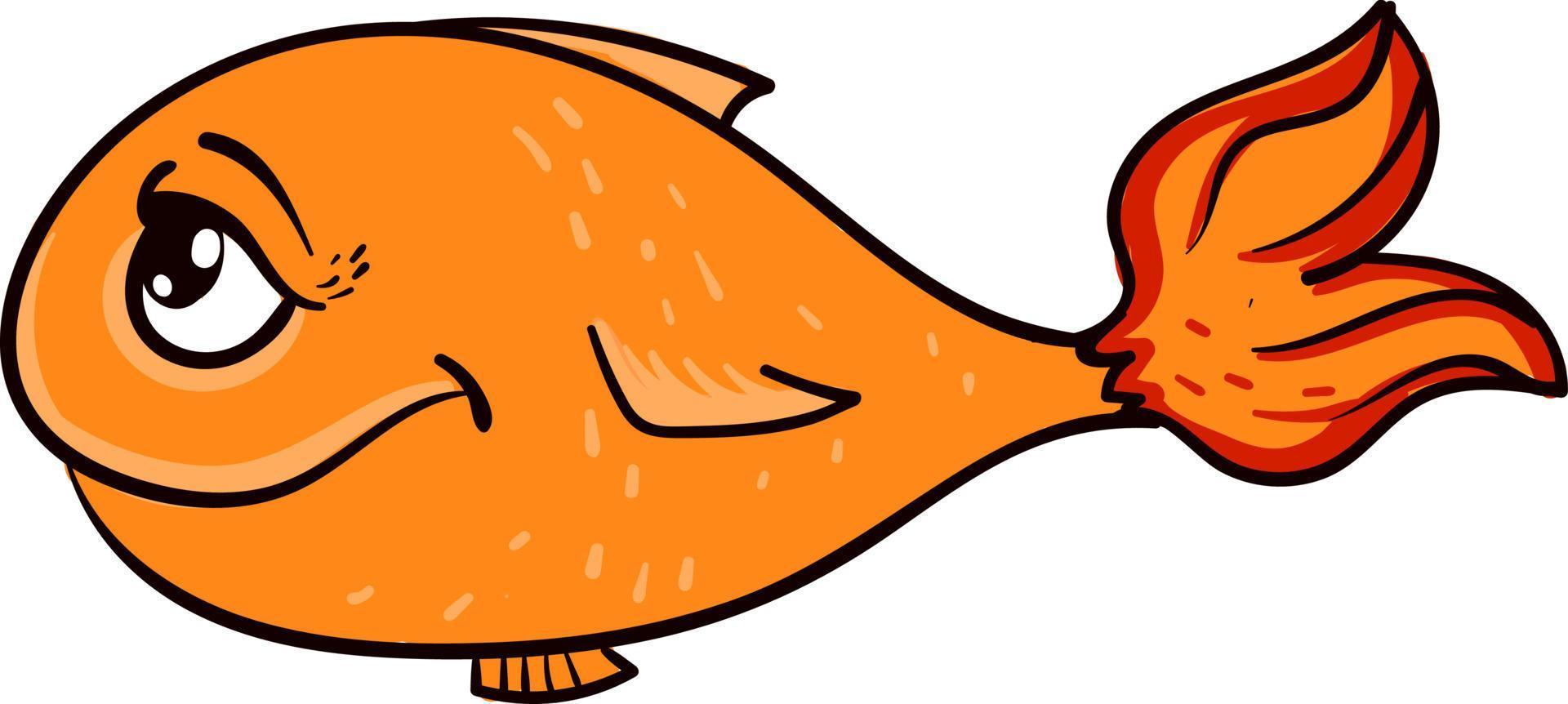 Orange fish, illustration, vector on white background