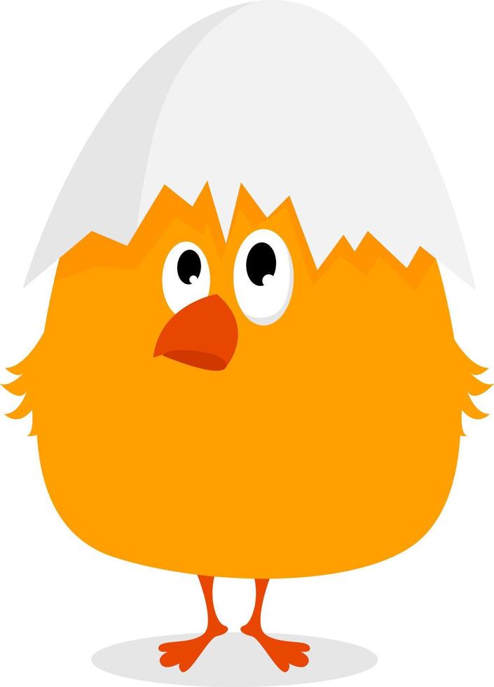 Pollo con cáscara, ilustración, vector sobre fondo blanco.