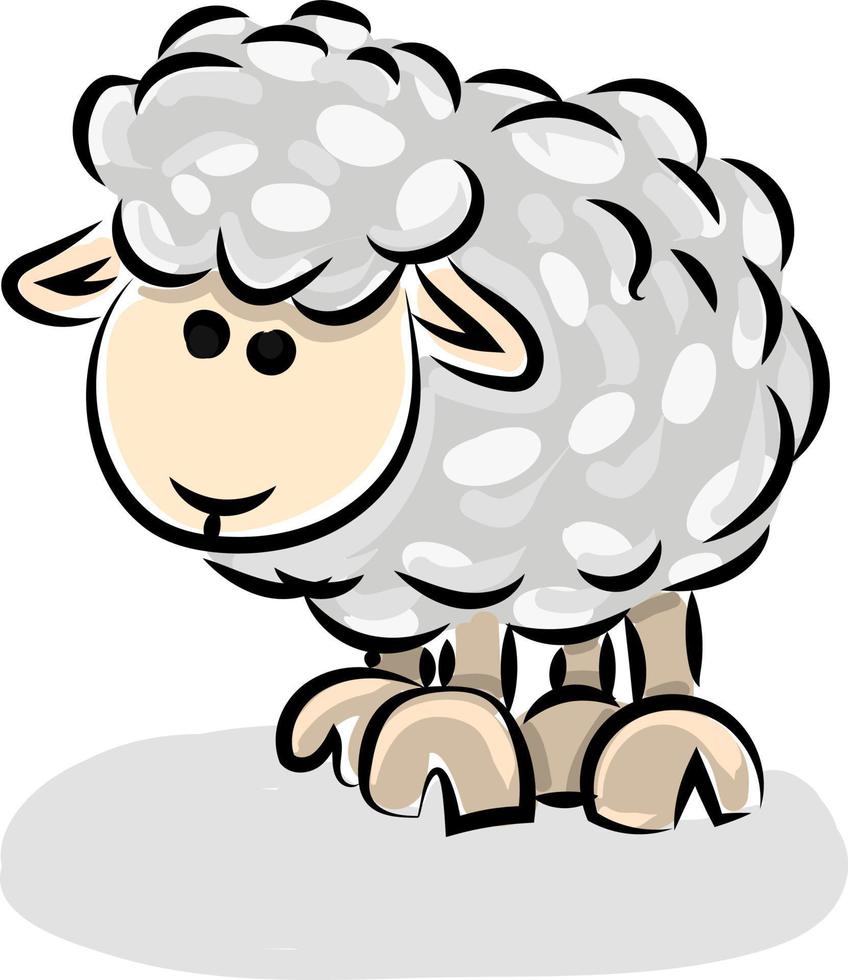 Sheep drawing, illustration, vector on white background.