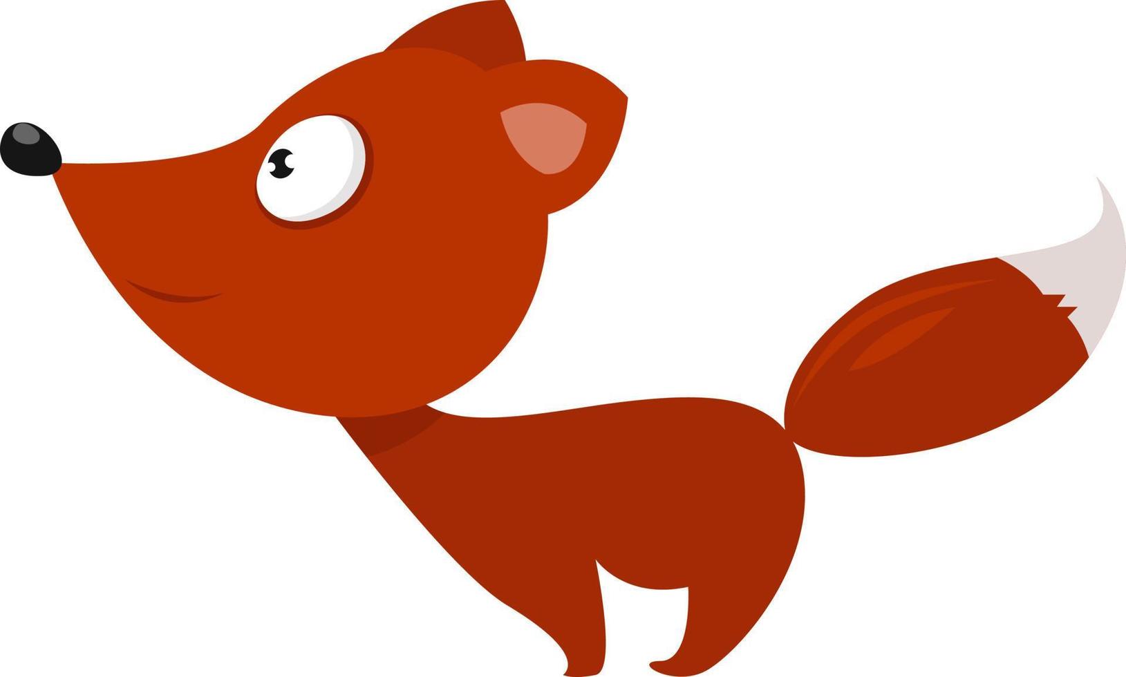 Cute fox ,illustration,vector on white background vector