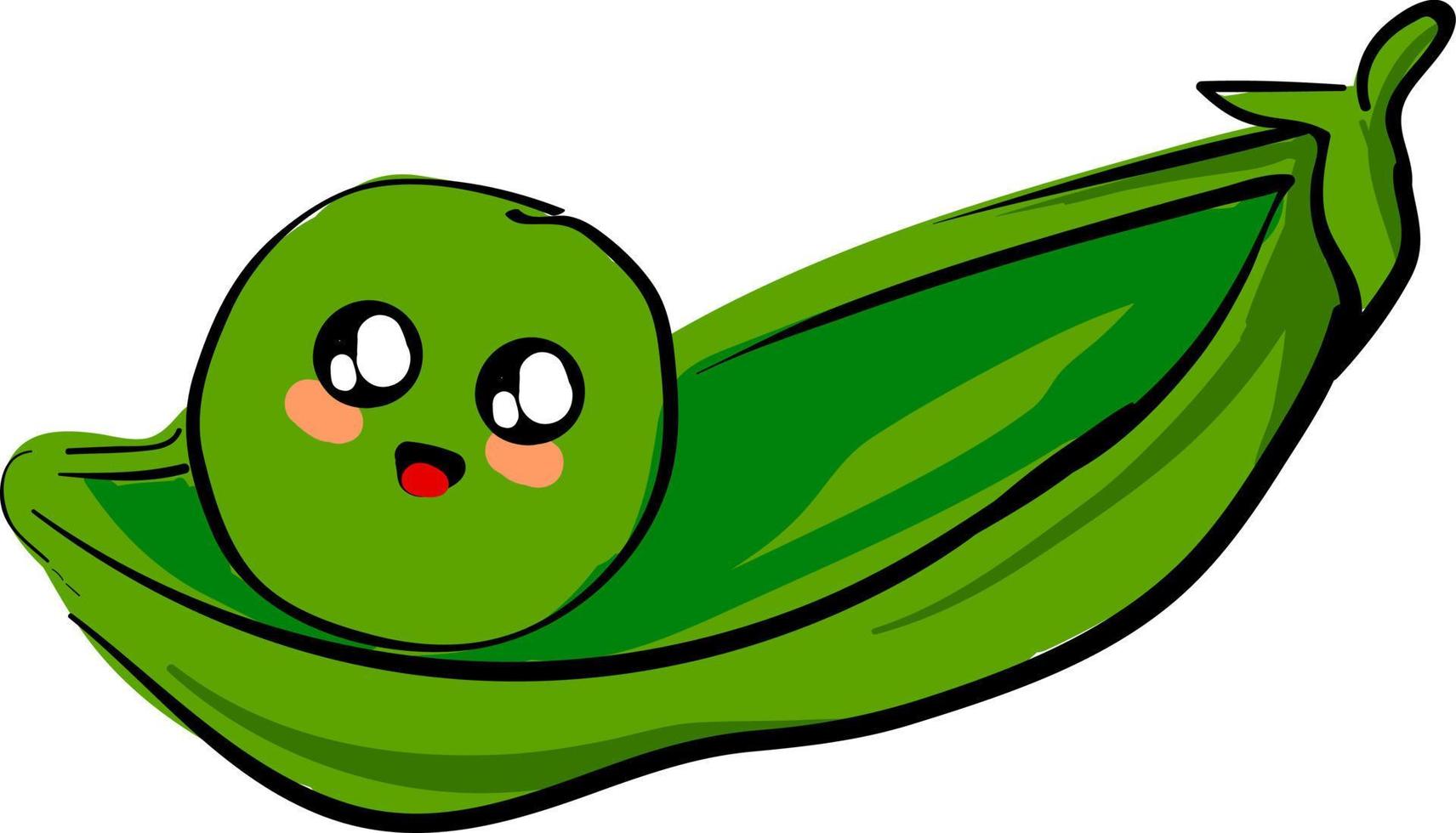 Cute little pea, illustration, vector on white background.