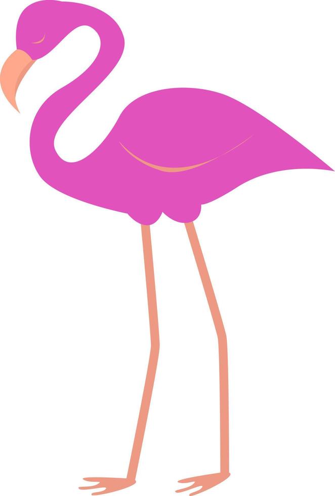 Pink flamingo, illustration, vector on white background.