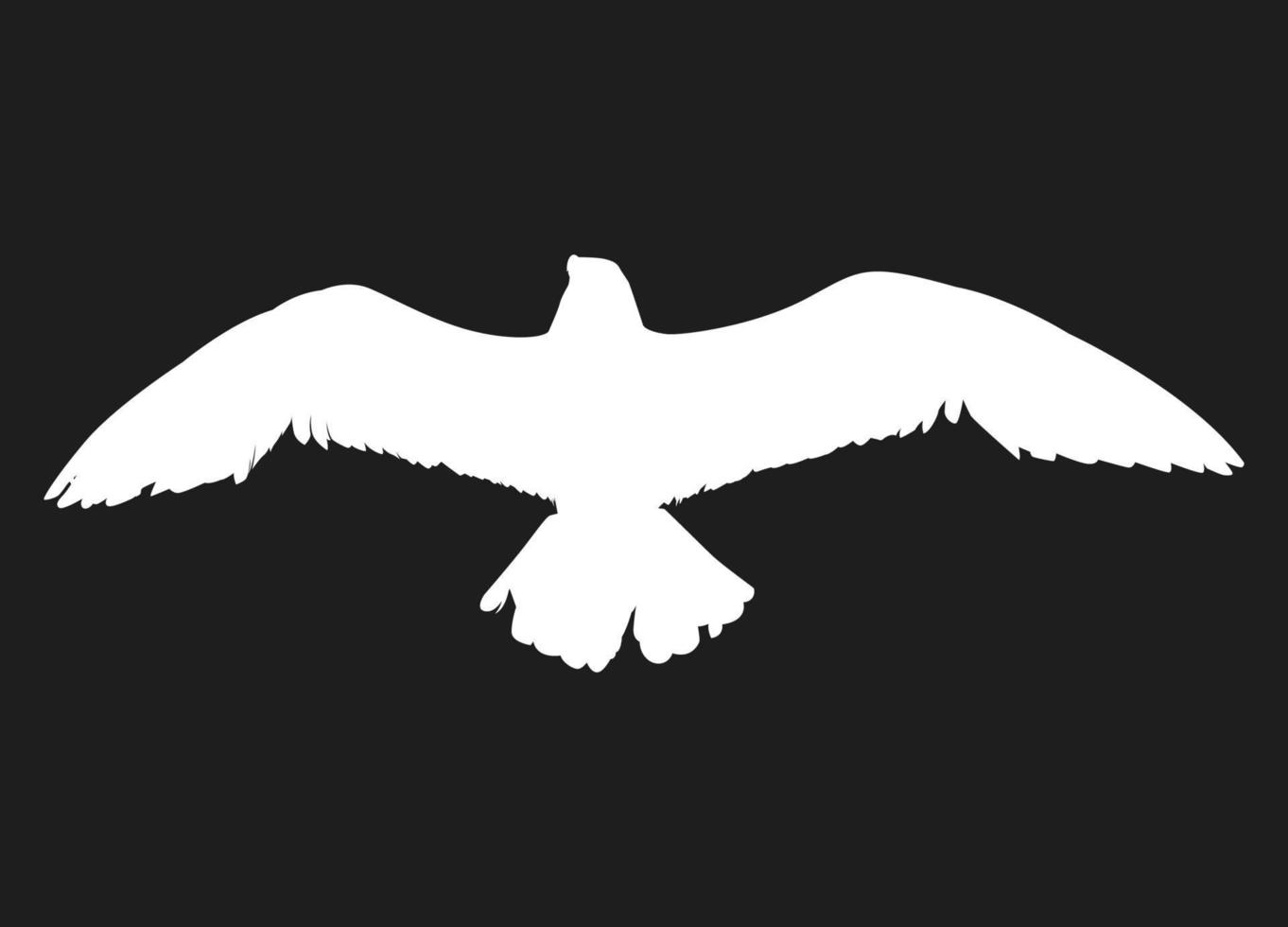 pájaro volador de siluetas blancas aisladas sobre fondo negro. apto para logotipo, símbolo, pancarta, fondo, tatuaje, ropa. vector de elemento de pájaro. eps 10