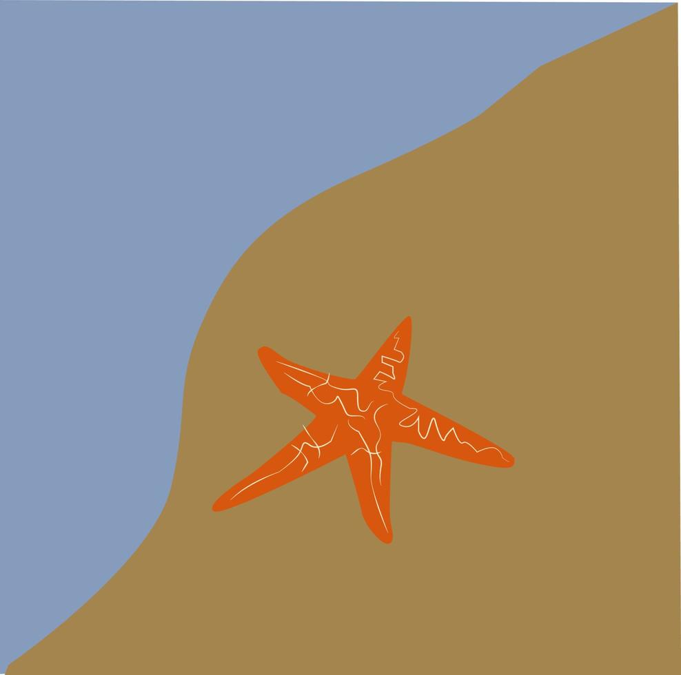 Seastar on beach, illustration, vector on white background.