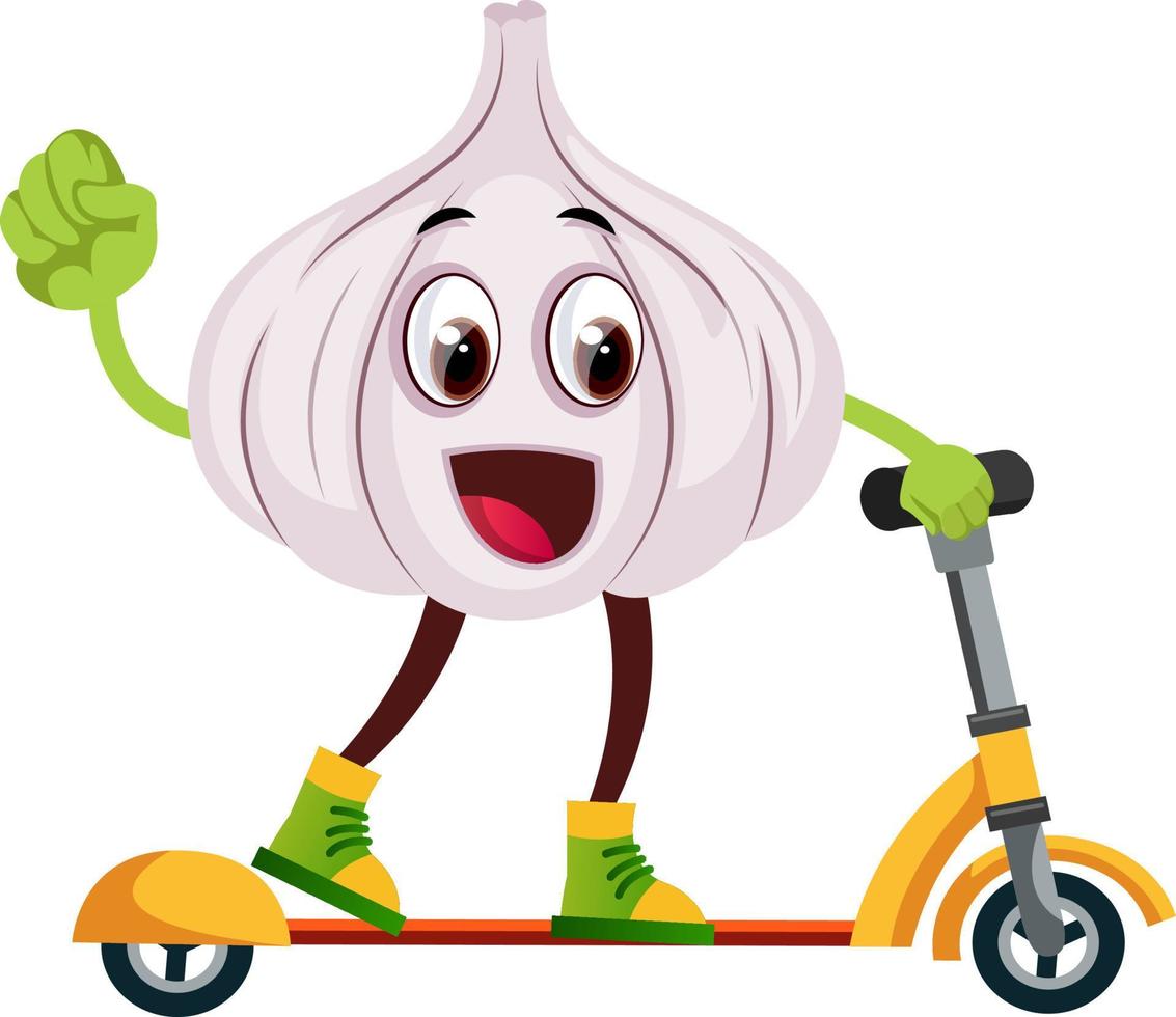 Garlic ridding scooter, illustration, vector on white background.