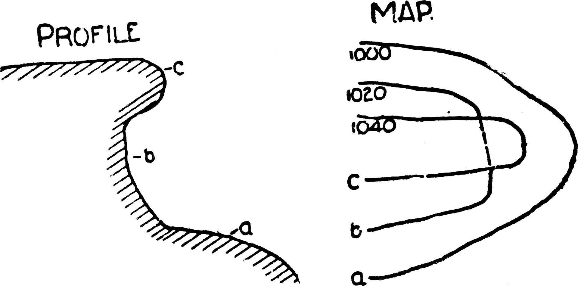 Contour Lines, vintage illustration. vector