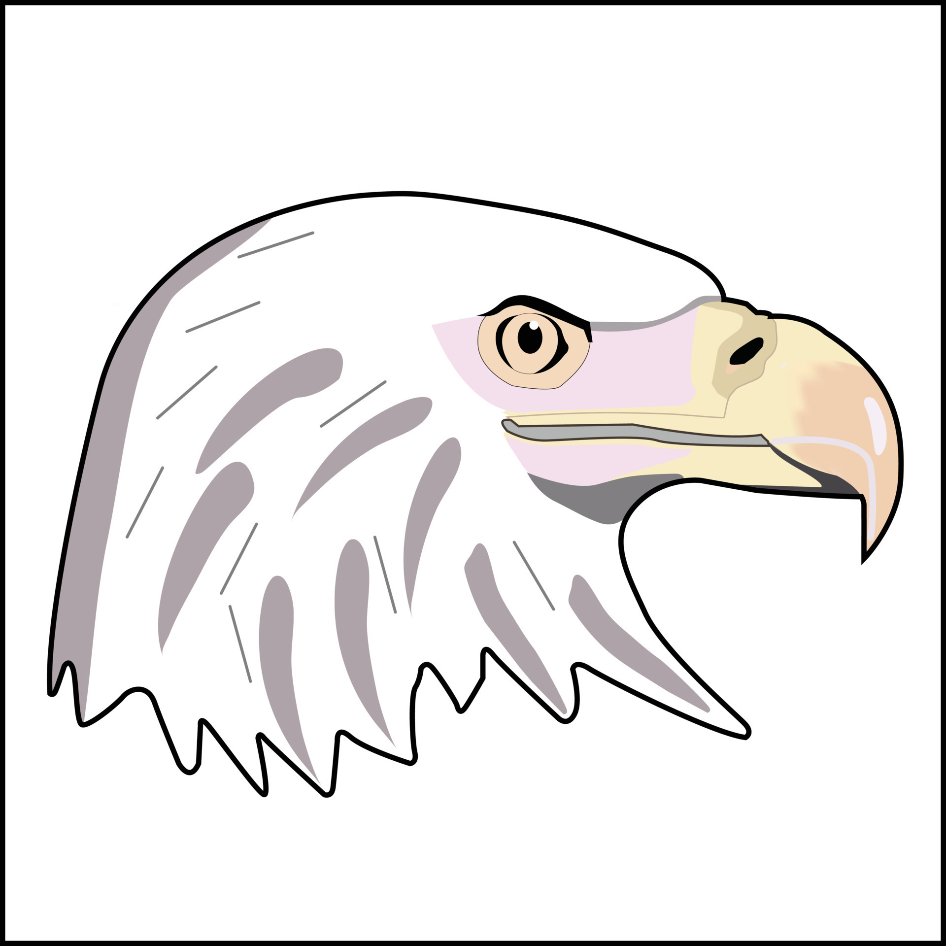 White Hawk Head 13734601 Vector Art at Vecteezy