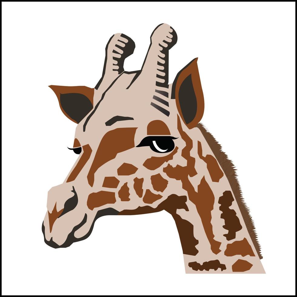 Cute girrafe head in profile is isolated against a white background. Vector stock illustrations for decoration and design, cards, posters, fabrics, for children and more