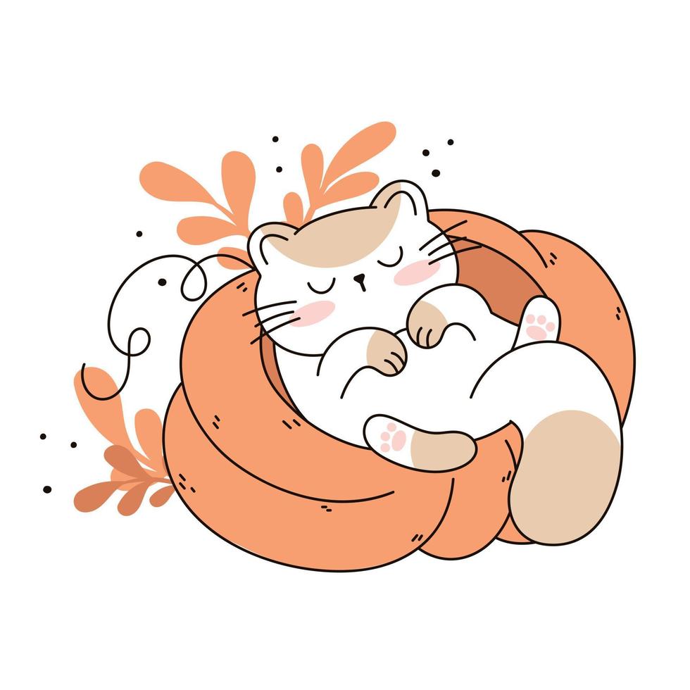 Draw funny  cat sleeping in a pumpkin kawaii cat with pumpkin for thanksgiving and autumn fall vector illustration cat character collection. Doodle cartoon style.