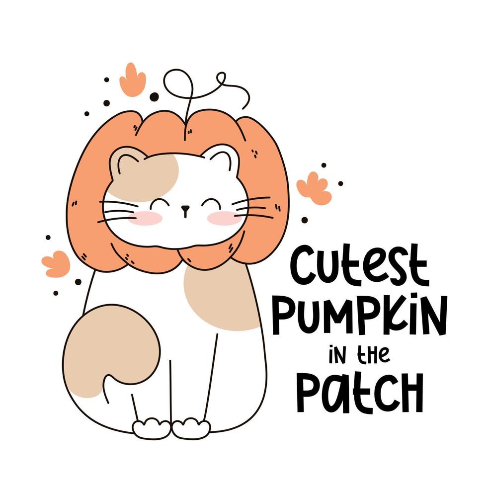 Draw funny cat  in a pumpkin hat kawaii cat with pumpkin for thanksgiving and autumn fall vector illustration cat character collection. Doodle cartoon style.