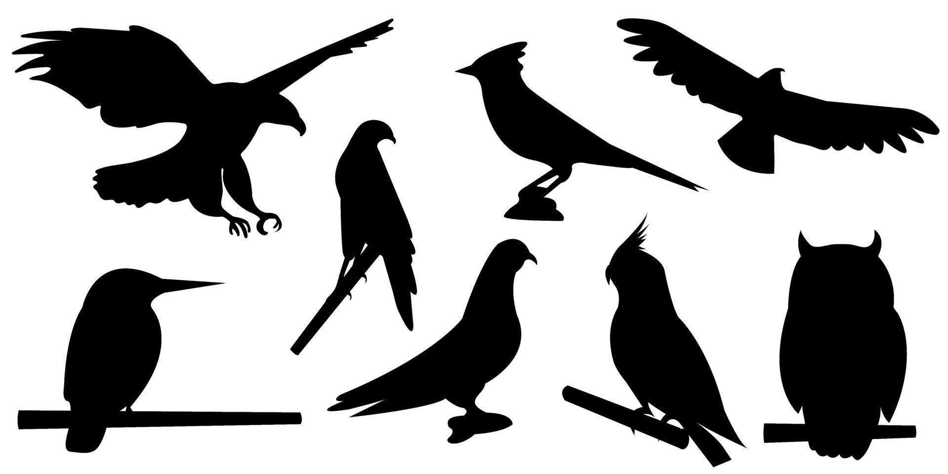 animales pájaros vector silueta conjunto