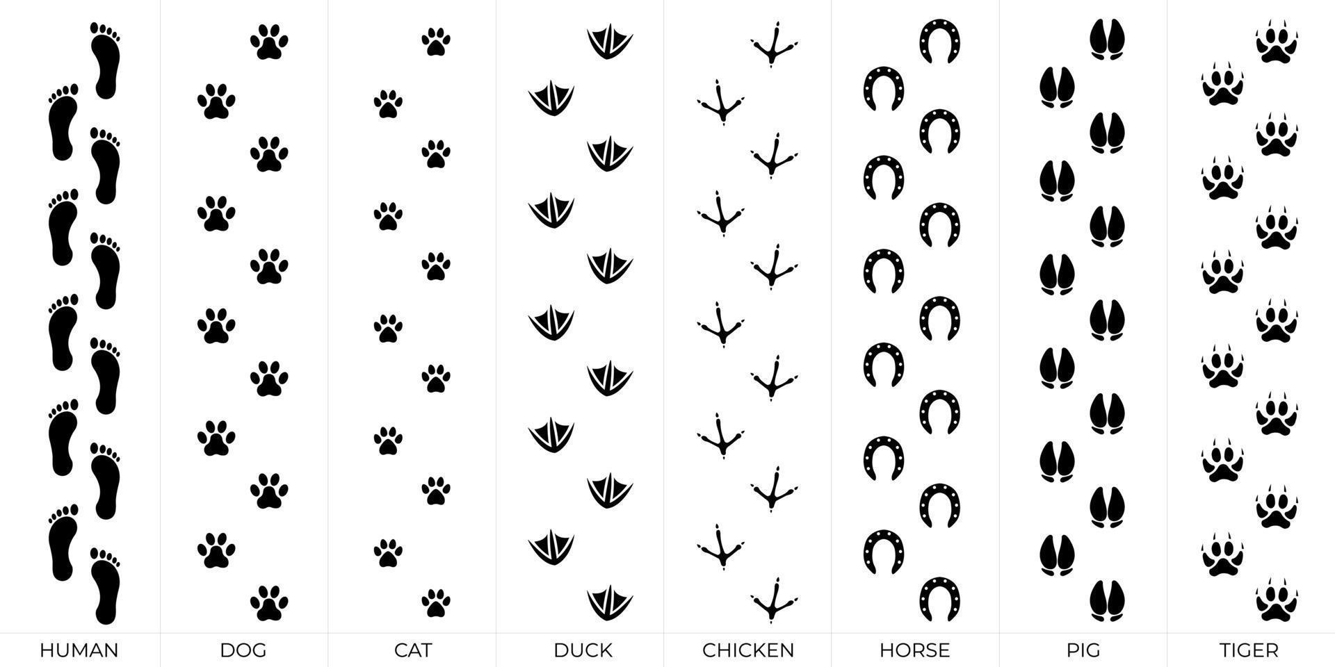 Footprint Vector Draw Silhouette Set