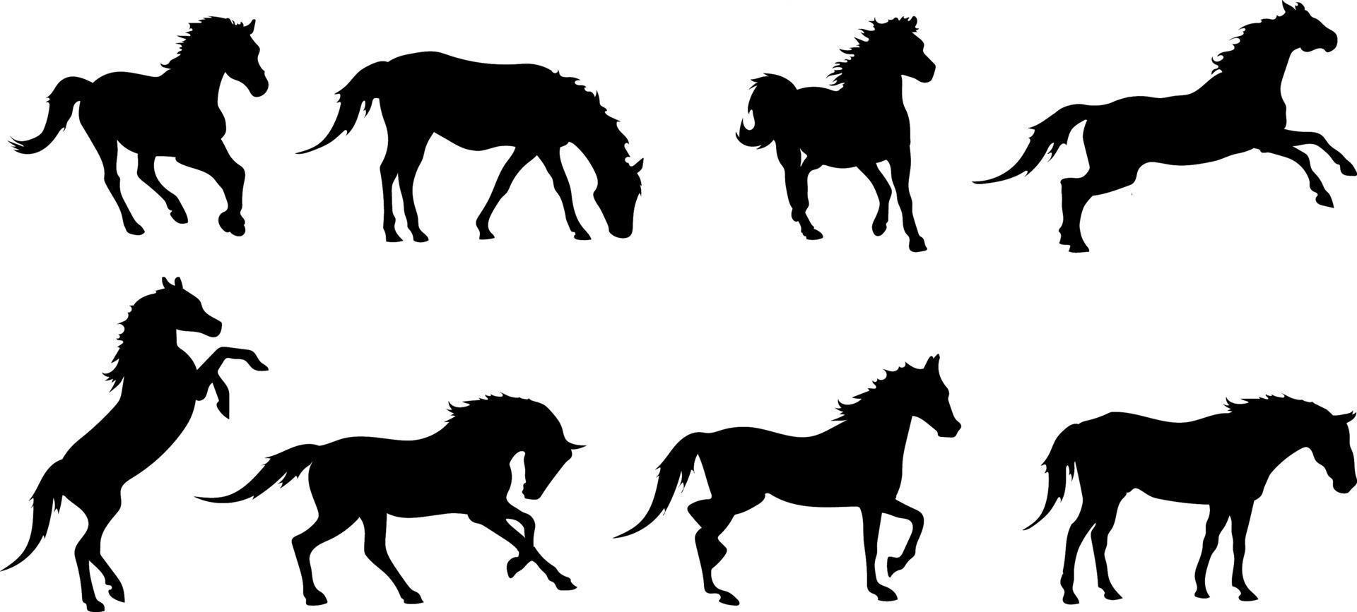Horses Vector Drawing Silhouette Set