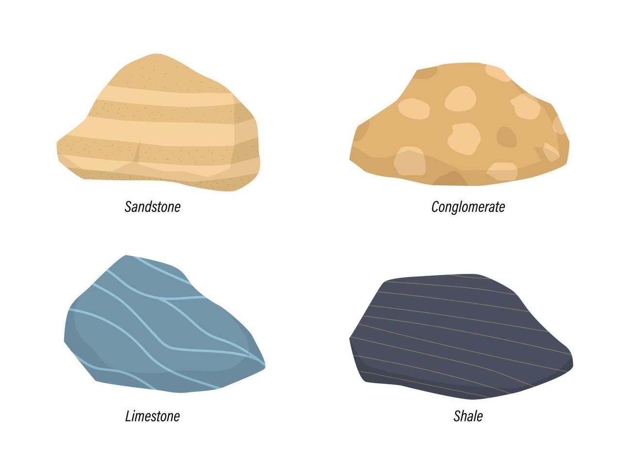 Illustration of sedimentary rock Sandstone, Conglomerate, Limestone and shale vector