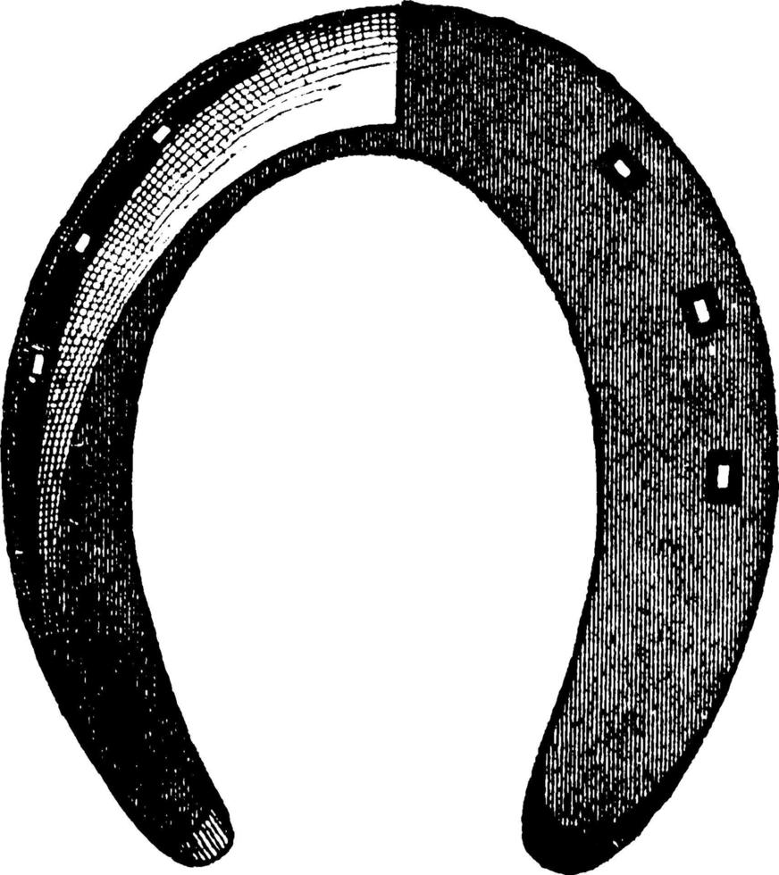 Horseshoe, vintage illustration. vector