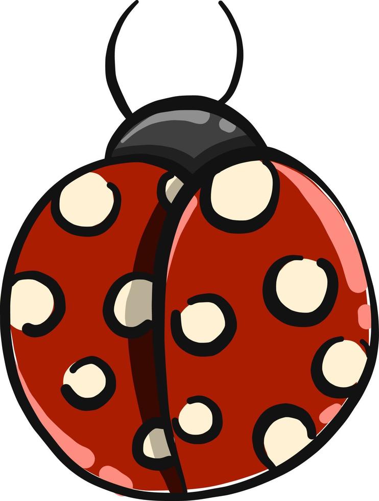 Red ladybug ,illustration,vector on white background vector