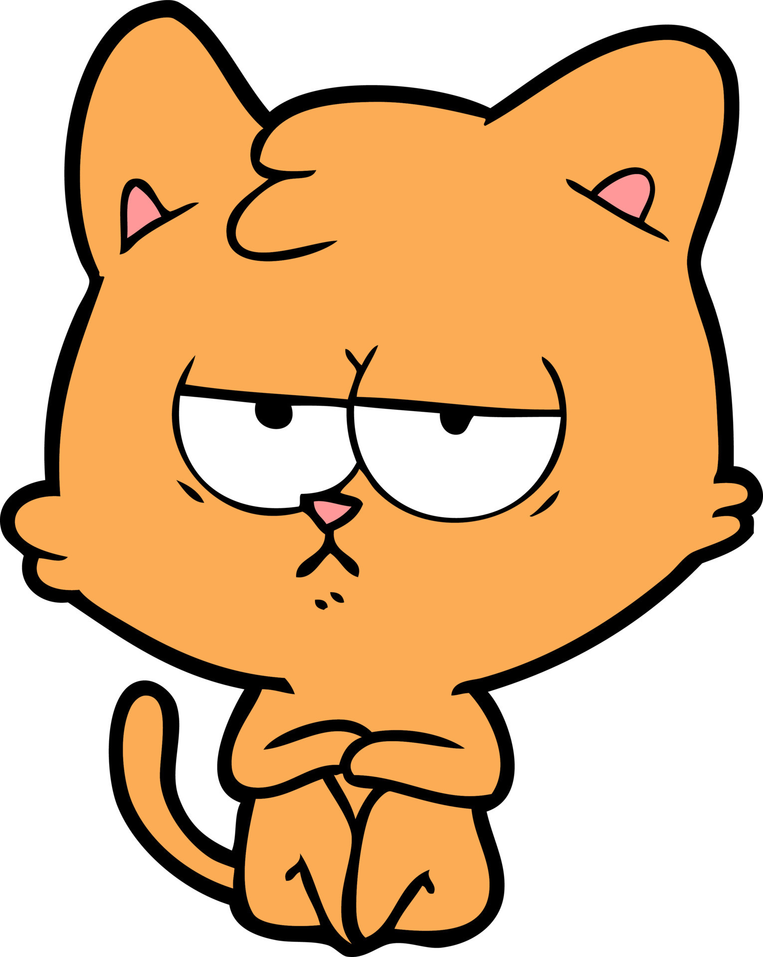 Vector cat character in cartoon style 13735921 Vector Art at Vecteezy