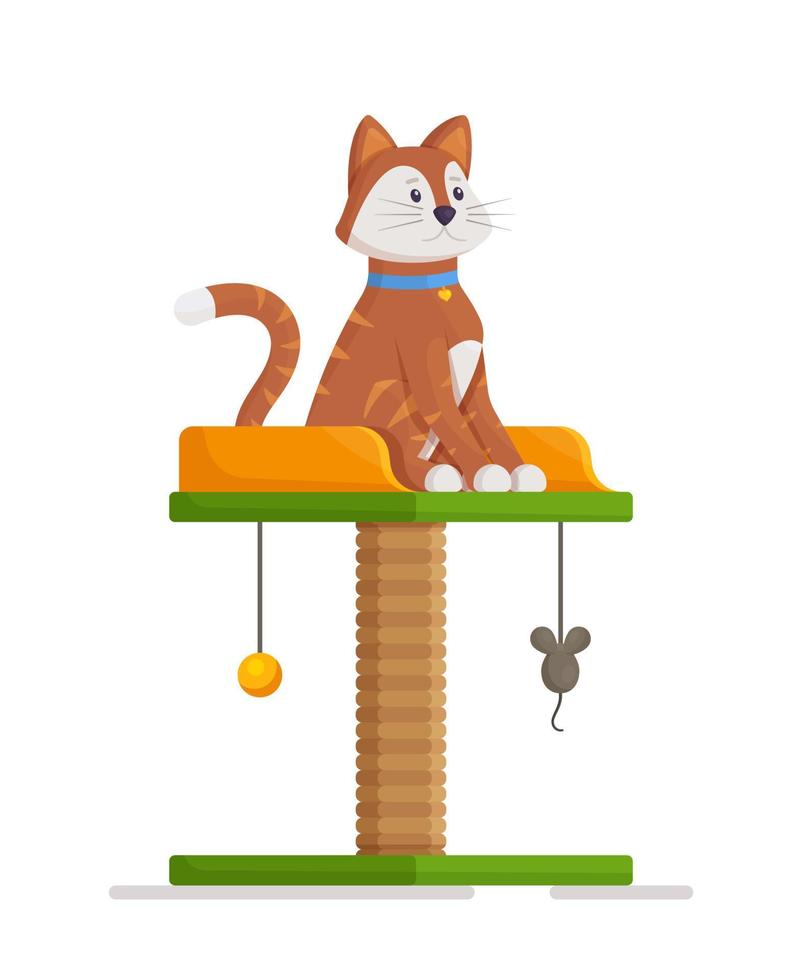 Cute and fluffy kitten sitting on a scratching post. vector