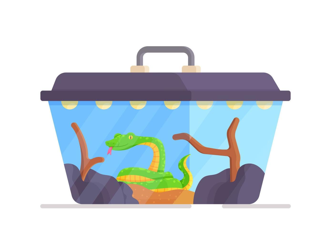 Green snake in a transparent terrarium. Vector illustration of snake house isolated on white background. Pet in a cage.
