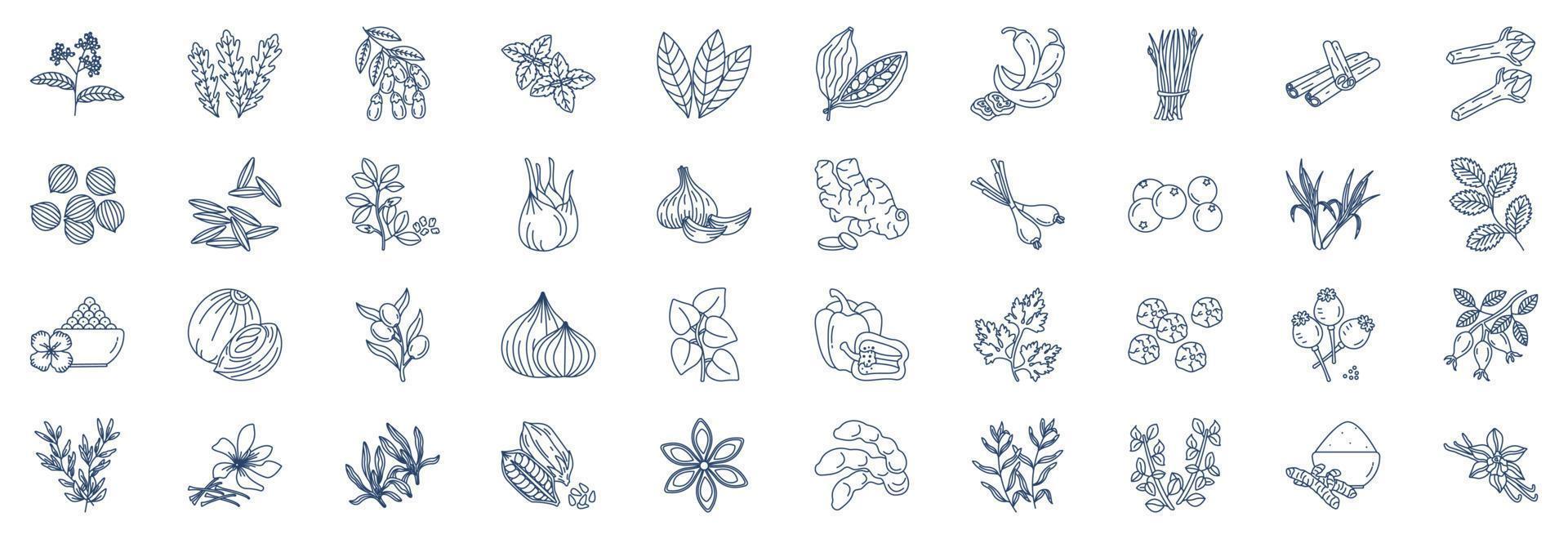 Collection of icons related to Herbs and Spices, including icons like Arugula, Barberry, Cloves, Cinnamon and more. vector illustrations, Pixel Perfect set