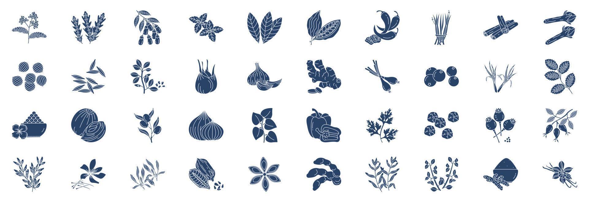 Collection of icons related to Herbs and Spices, including icons like Arugula, Barberry, Cloves, Cinnamon and more. vector illustrations, Pixel Perfect set