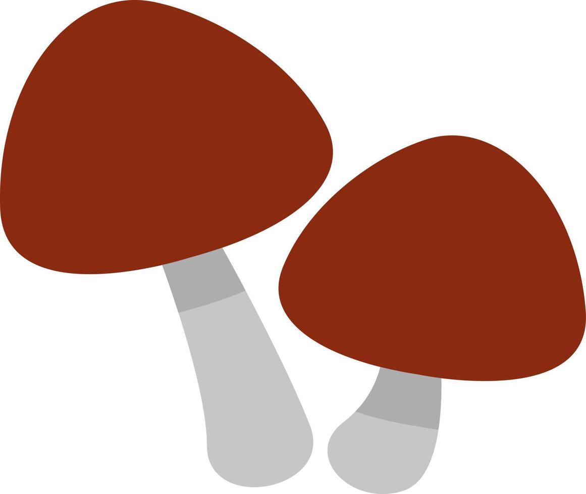 Truflle mushroom, illustration, vector on a white background.