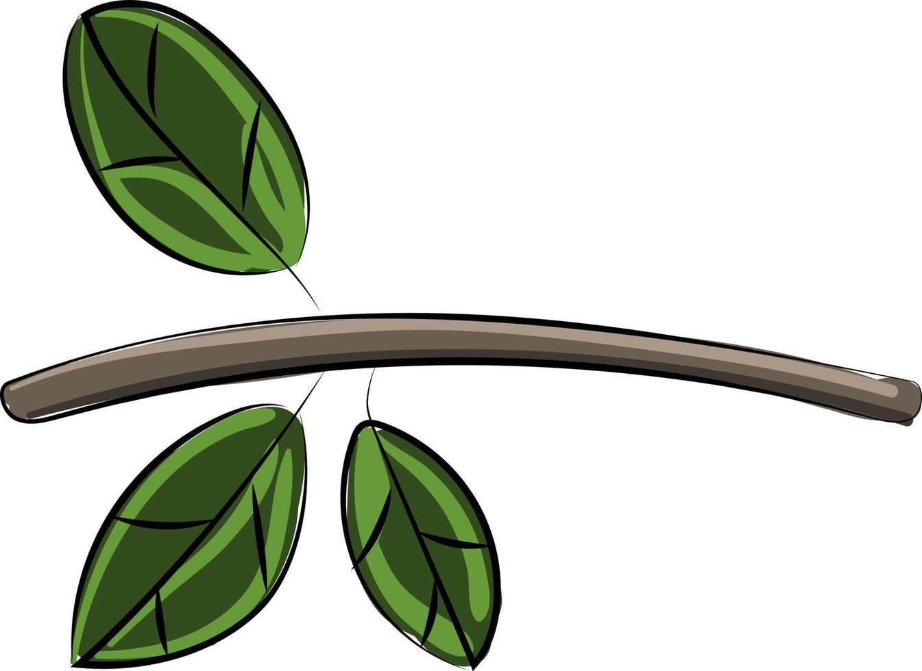 Green branch, illustration, vector on white background.