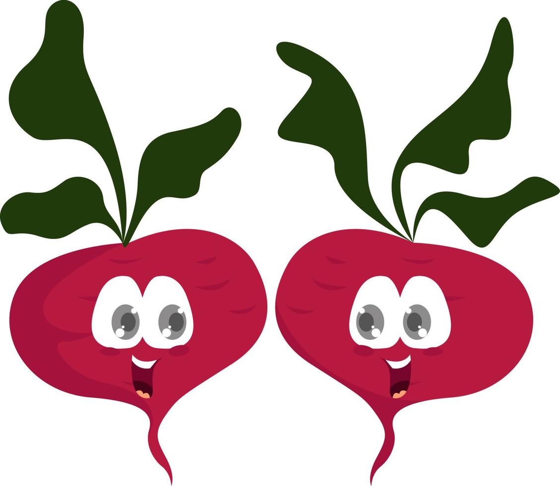 Beet twins, illustration, vector on white background.
