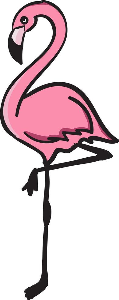 Flamingo, illustration, vector on white background.