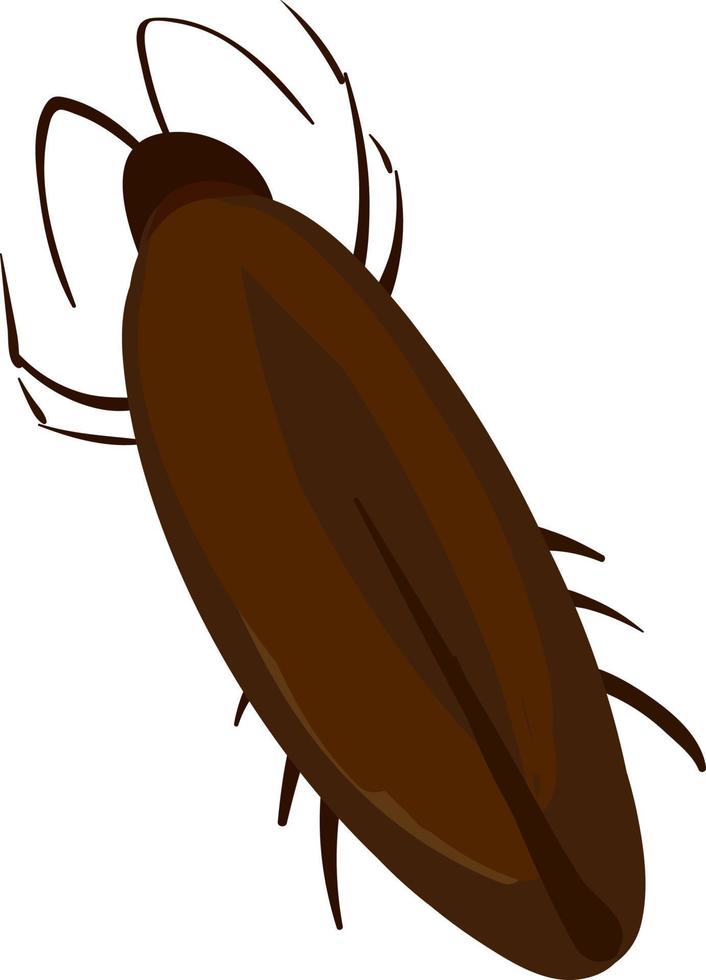 Cockroach bug, illustration, vector on white background.