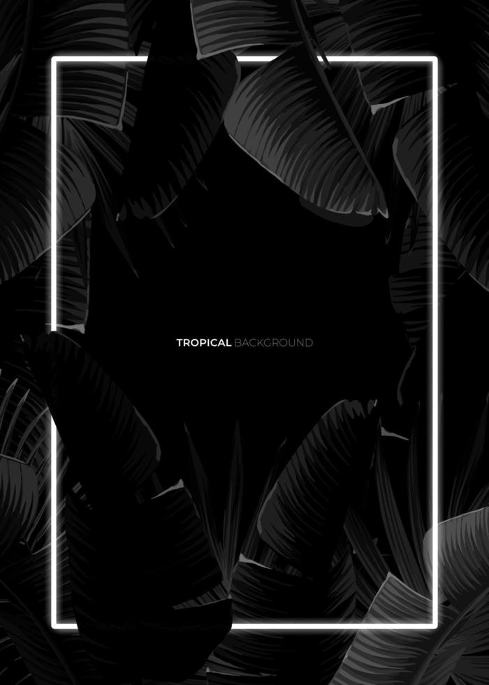 Dark monochrome tropical design with exotic banana leaves, soft neon frames and space for text. Vector summer template for poster, banner, card or flyer.