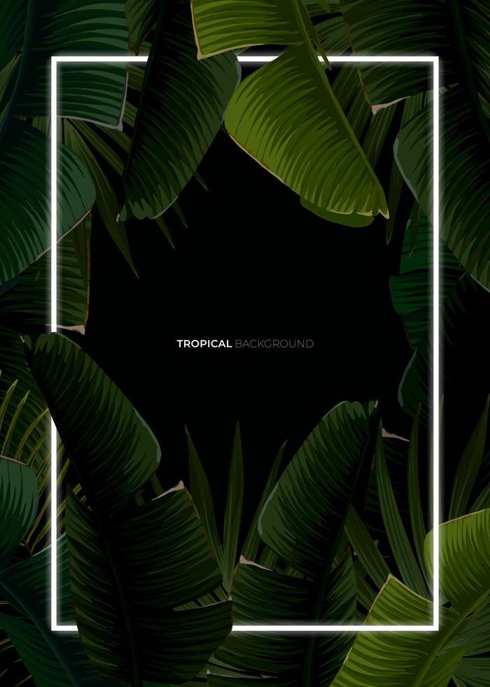 Dark tropical summer design with banana palm leaves, glowing frame and space for text. Vector flyer, banner or card template. Summer vector background.