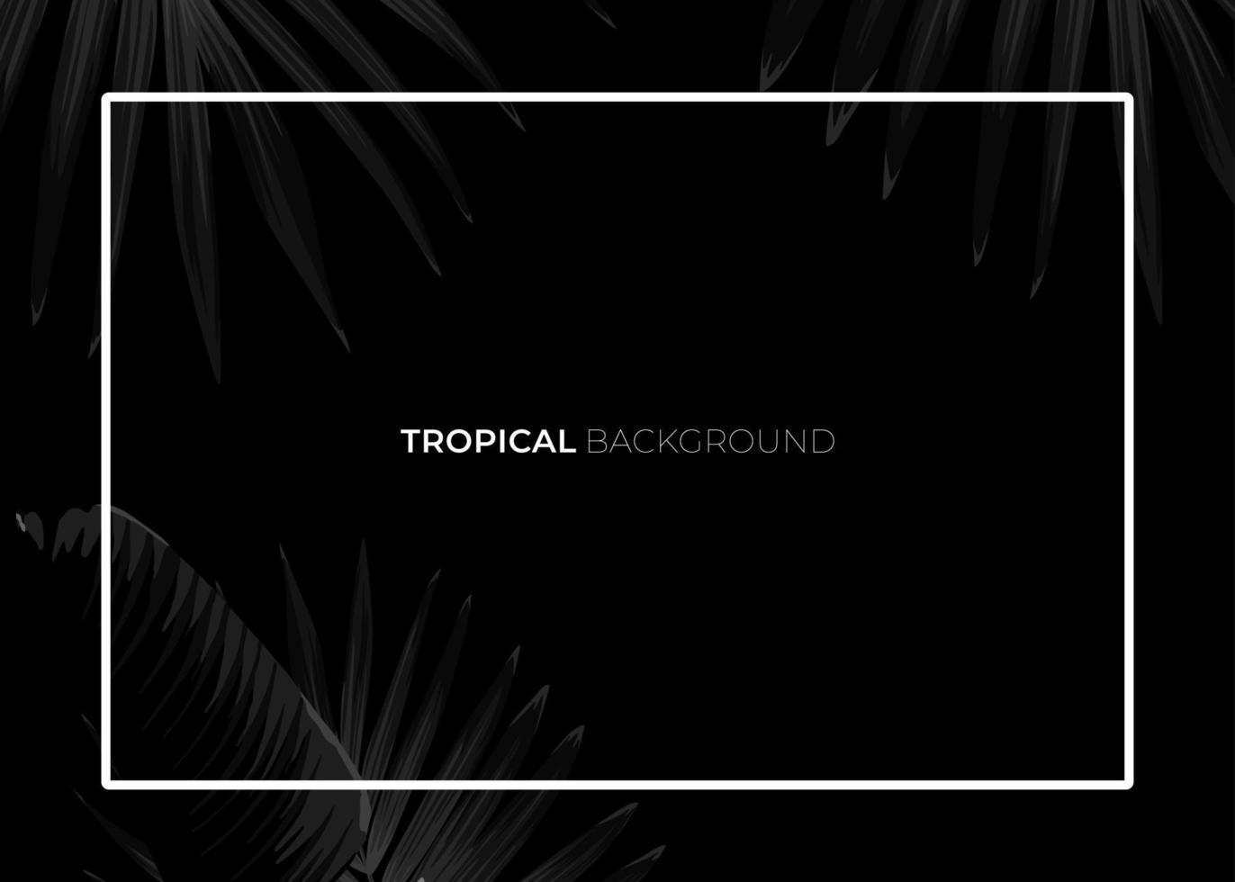 Dark monochrome tropical design with exotic banana leaves, soft neon frames and space for text. Vector summer template for poster, banner, card or flyer.