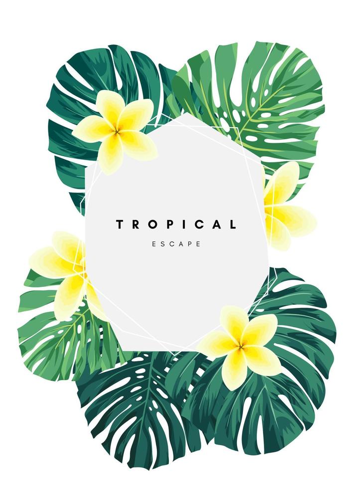 Tropical background design with palm leaves and flowers vector