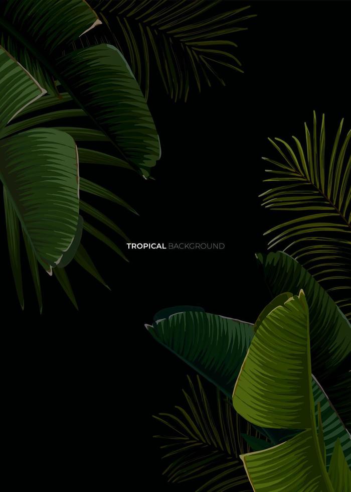 Dark tropical summer design with banana palm leaves, glowing frame and space for text. Vector flyer, banner or card template. Summer vector background.