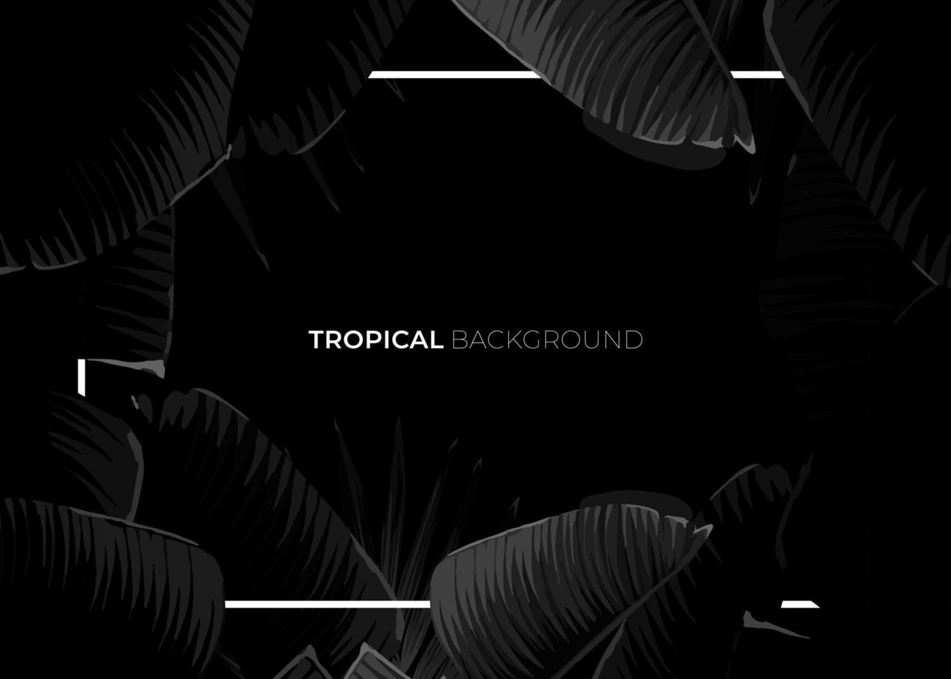 Dark monochrome tropical design with exotic banana leaves, soft neon frames and space for text. Vector summer template for poster, banner, card or flyer.