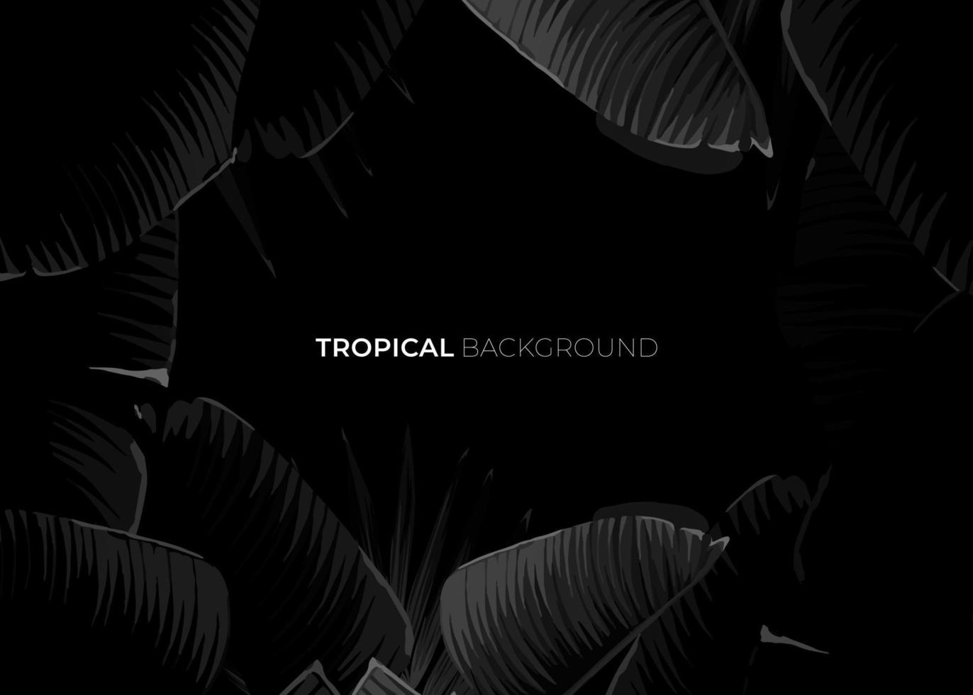 Dark monochrome tropical design with exotic banana leaves, soft neon frames and space for text. Vector summer template for poster, banner, card or flyer.
