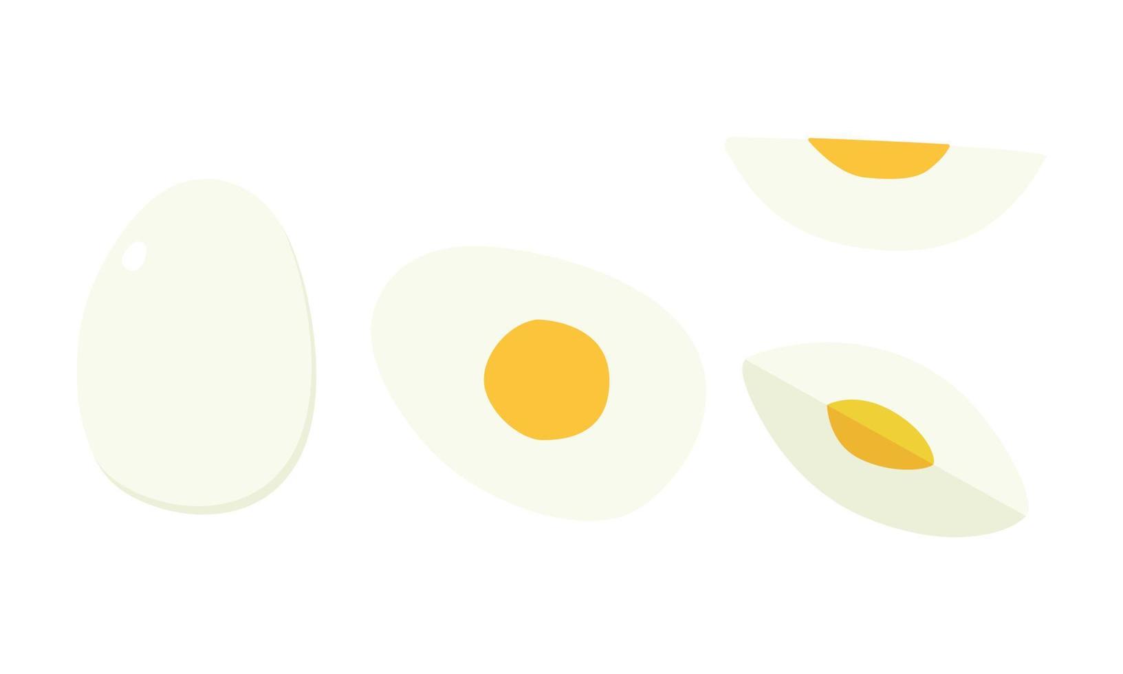 Vector set of sliced hard boiled egg clipart. Simple whole, half, a quarter, cut sliced boiled egg flat vector illustration isolated. White boiled chicken egg with yellow yolk cartoon hand drawn style