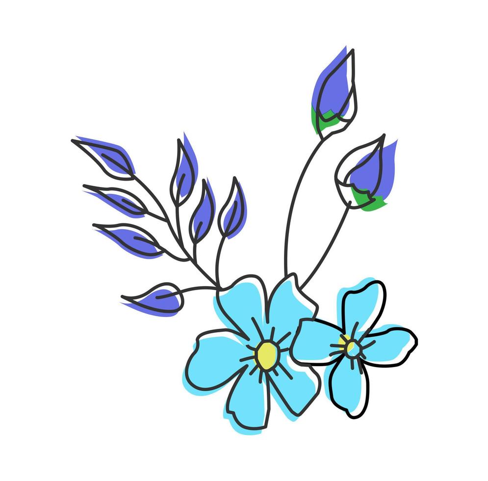 Forget Me Not Flower vector