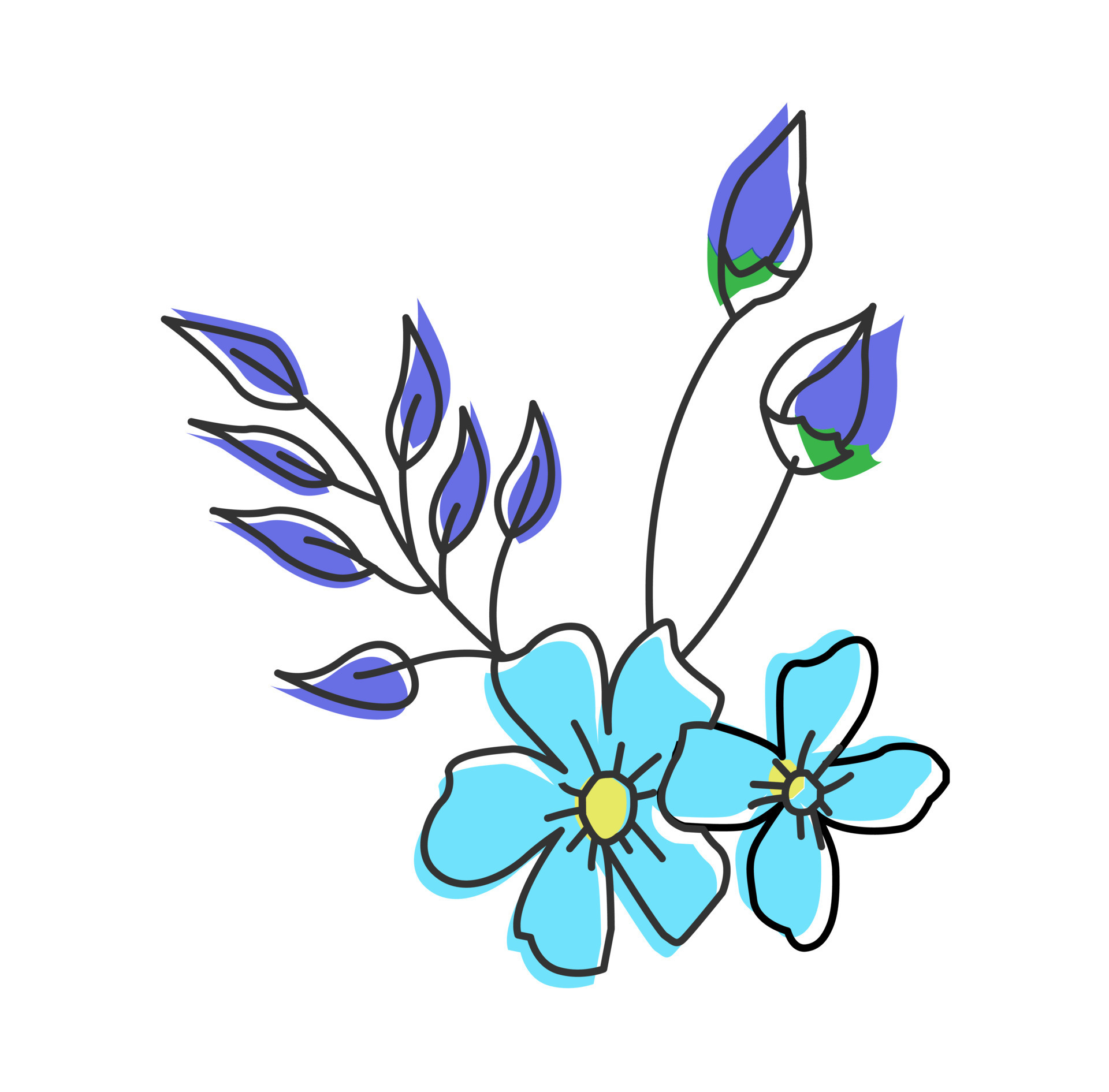 Blue Forget-me-not Flowers. Vector Illustration. Stock Vector -  Illustration of element, decorative: 54473783