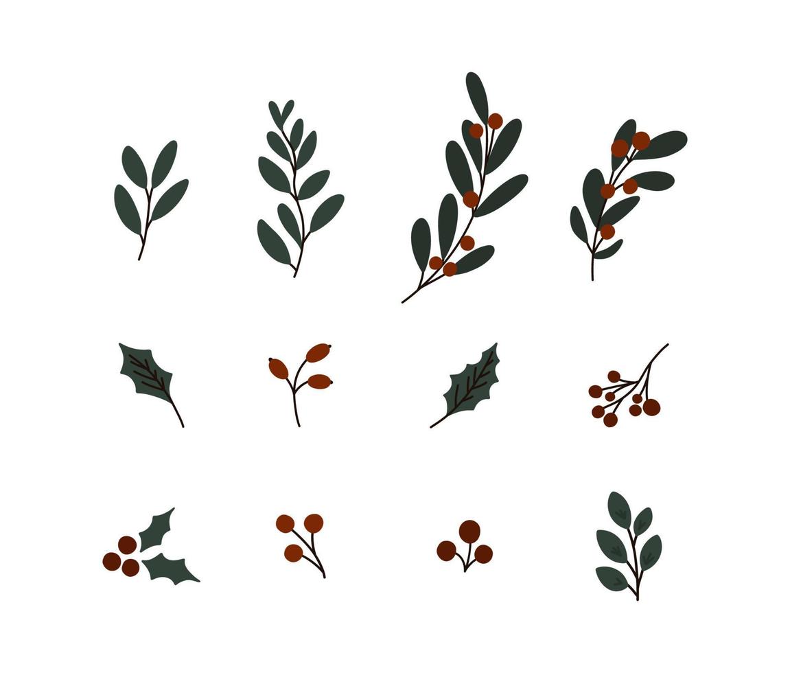 Christmas plants set vector
