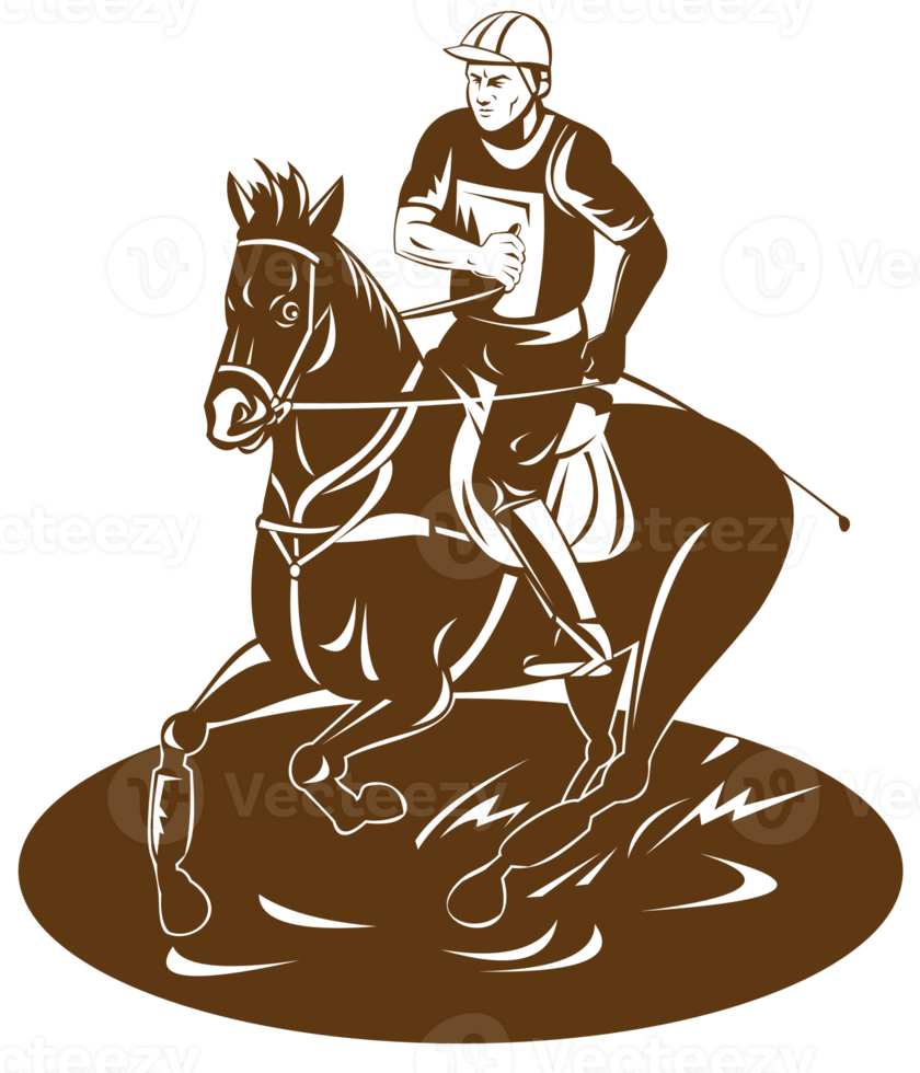 equestrian riding horse png