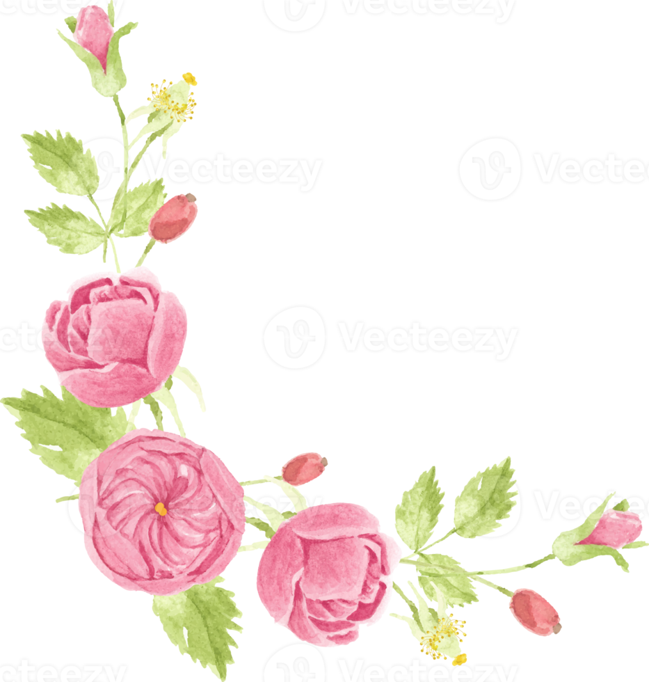 akvarell rosa ros bukett krans ram för banner eller logotyp png