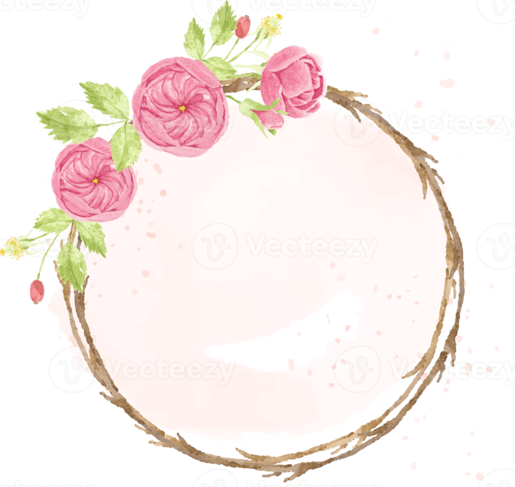 watercolor pink english rose wreath frame png